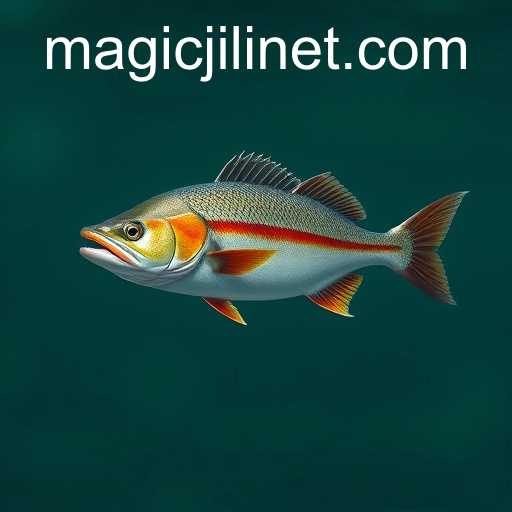 magicjili